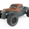 TEAM ASSOCIATED Trophy Rat 1/10 2wd Brushless Truck RTR #70019 -BUGGY,TRUCK,CAR Kits Store ASS70019